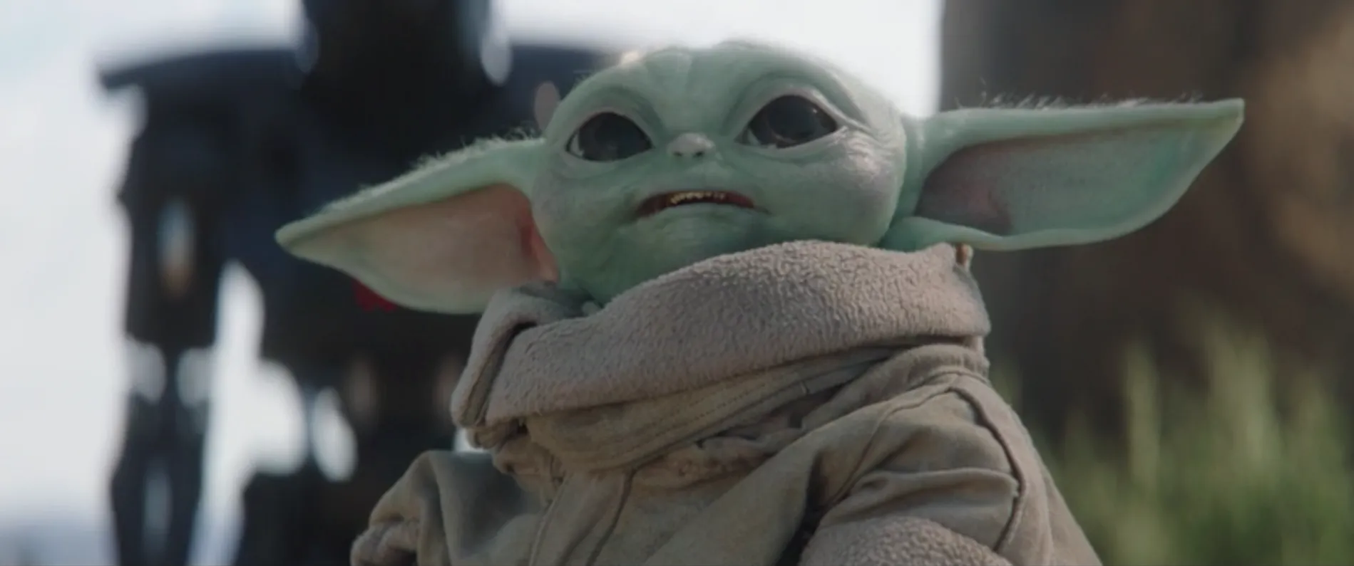 鲁德卸任后,阿莫林接任,曼联临时主,乐鱼体育,乐鱼体育官网,乐鱼体育官网玩家首选