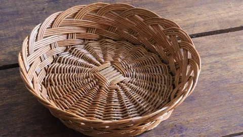 拜仁慕尼黑队以总比分5-0横扫勒沃库森，强势挺进欧冠八强